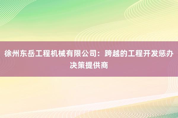 徐州东岳工程机械有限公司：跨越的工程开发惩办决策提供商